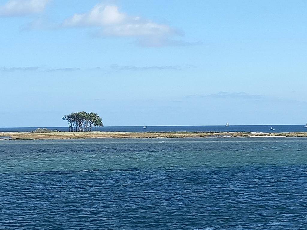 SchleswigKappeln (94)